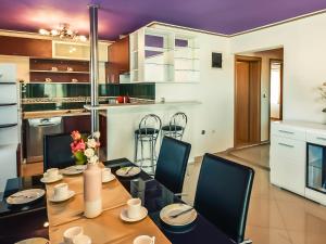 Kuchyňa alebo kuchynka v ubytovaní Apartment Anić-3 by Interhome