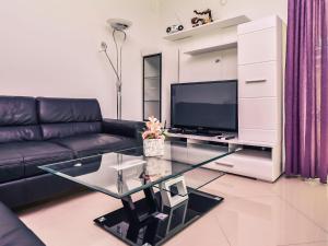 Televízia a/alebo spoločenská miestnosť v ubytovaní Apartment Anić-3 by Interhome