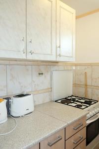 Virtuvė arba virtuvėlė apgyvendinimo įstaigoje Apartment Rudez-2 by Interhome