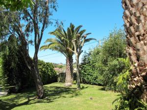 A garden outside Holiday Home Amoreira - CLE201