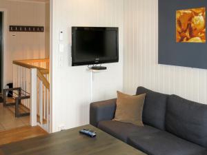 ein Wohnzimmer mit einem Sofa und einem Flachbild-TV in der Unterkunft Apartment Havsdalsgrenda - HLD102 by Interhome in Geilo