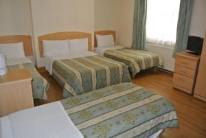 En eller flere senge i et værelse på European Hotel