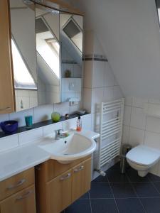 a bathroom with a sink and a toilet and a mirror at Apartment an den Teichen in Lengede