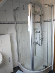 a shower with a glass door in a bathroom at Apartment an den Teichen in Lengede +4 photos