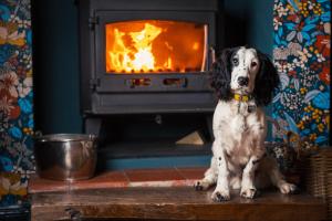 a dog sitting on a table in front of a fireplace at George and Dragon in Hurstbourne Tarrant