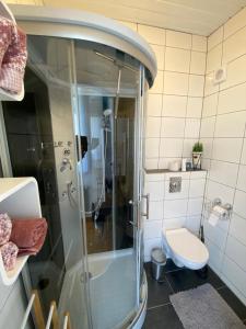 Koupelna v ubytování Appartements Gabat Nähe Red Bull Ring