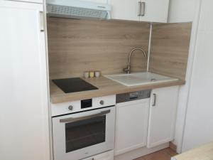 a small kitchen with a sink and a stove at Helvétia in Thonon-les-Bains