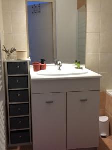 a bathroom with a white sink and a mirror at Helvétia in Thonon-les-Bains