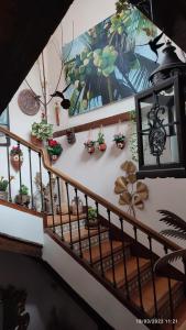 a stairway with potted plants on it at Pensión Alfin in Granada