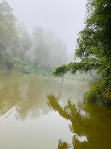 a river in the fog with trees on the side at Dreams River view homestay coorg B in Kushālnagar