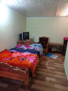 a bedroom with a bed and a tv in it at Dreams River view homestay coorg B in Kushālnagar