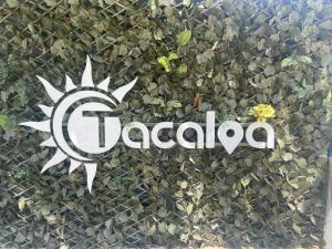 صورة لـ Hotel TACALOA INN EXPERIENCE في ريكورت