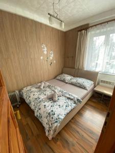 捷克布傑約維采的住宿－Apartment Hlinská，一间卧室设有两张床和窗户。