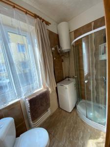 a small bathroom with a shower and a toilet at Apartment Hlinská in České Budějovice