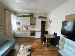 Kuchyň nebo kuchyňský kout v ubytování Apartment Hlinská