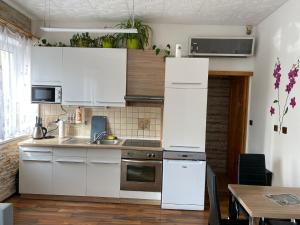 Kuchyň nebo kuchyňský kout v ubytování Apartment Hlinská