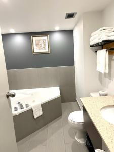 ガティノーにあるAuberge de la Gareの洗面台とトイレ付きのバスルーム