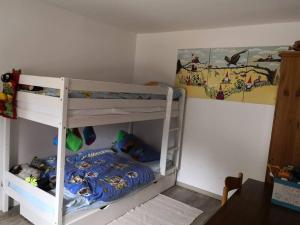 Neue Welt的住宿－ERZGRÜN - Aktiv und entspannt im Grünen，一间卧室配有两张双层床。