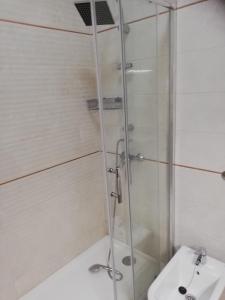 a bathroom with a shower and a toilet and a sink at Apartamento Tiago in Sines