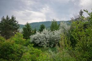 Táj az apartman közelében