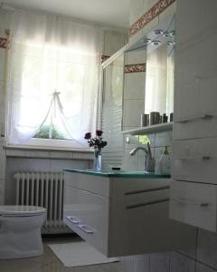 ein Bad mit einem Waschbecken, einem WC und einem Fenster in der Unterkunft Ferienwohnung Hummel in Bad Buchau