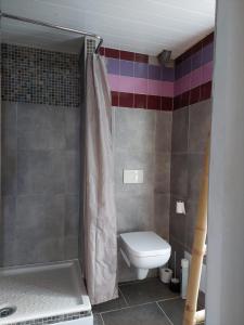 a small bathroom with a toilet and a shower at Villa des Galets in Saint-Pierre