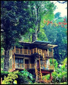 Gallery image of Jungle Jive Tree House Munnar in Munnar
