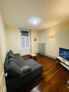 uma sala de estar com um sofá e uma televisão de ecrã plano em Appartement proche de la ville et du parc du Truchet em Saint-Claude