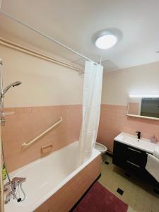 Ванная комната в Appartement proche de la ville et du parc du Truchet