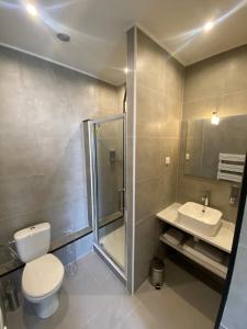 La salle de bains est pourvue de toilettes, d'un lavabo et d'une douche. dans l'établissement Appart' hôtel 7 sensation, à Bougival