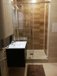 een badkamer met een douche en een wastafel bij Adél Apartman in Makó