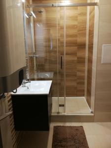 Koupelna v ubytování Adél Apartman
