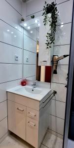 ein Bad mit einem Waschbecken und einem Spiegel in der Unterkunft MsApartment Stylish wohnen in STUTTGART in Stuttgart