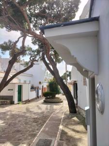 a white building with a tree in a courtyard at GUEST HOUSE LE BOFFE in Anacapri