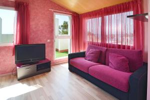 A television and/or entertainment centre at Ornis Apartments Platja
