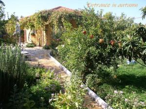 einen Garten mit einem Orangenbaum und einem Haus in der Unterkunft Adonino Residence-The House of Pomegranates in Lakíthra