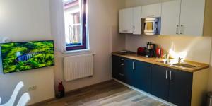 Kuchyň nebo kuchyňský kout v ubytování Apartmány Cechovní
