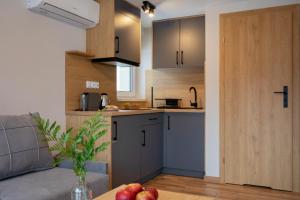 Køkken eller tekøkken på Osada Wróblonki - Apartamenty