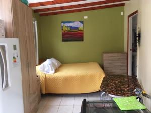 a bedroom with a bed in a green room at Cabaña cerca de playa in Viña del Mar