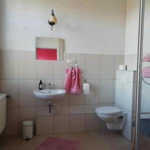 La salle de bains est pourvue d'un lavabo et de toilettes. dans l'établissement Ferienvermietung Reinstorf, à Reinstorf