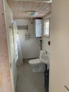 a bathroom with a toilet and a sink at Kappelshamns Veranda och Fritidsboende in Kappelshamn