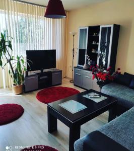 Pleven Sunny Apartment