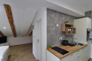 Kuchyňa alebo kuchynka v ubytovaní Studio apartmani Bethel