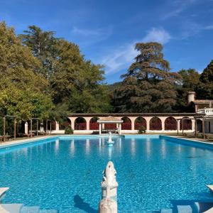 a swimming pool in a garden with a tree in the background at Château de Fontager in Serves-sur-Rhône
