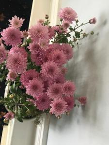 Gallery image of Bru Na Pairc B&B in Bantry