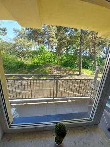 einen Balkon mit einem großen Fenster mit einer Pflanze in der Unterkunft Apartament z widokiem na las Na wydmie in Ustka