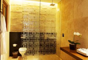 a bathroom with a shower with a toilet and a sink at Hotel Boutique Casa Madero in Morelia