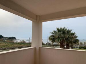 einen Balkon mit einer Palme und Meerblick in der Unterkunft La casa del vento Stagnone in Marsala