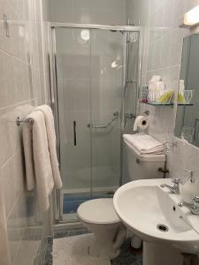 a bathroom with a shower and a toilet and a sink at Bru Na Pairc B&B in Bantry