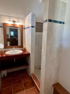 ein Bad mit einem Waschbecken und einer Dusche in der Unterkunft Villa Le Refuge du Pirate in Deshaies
